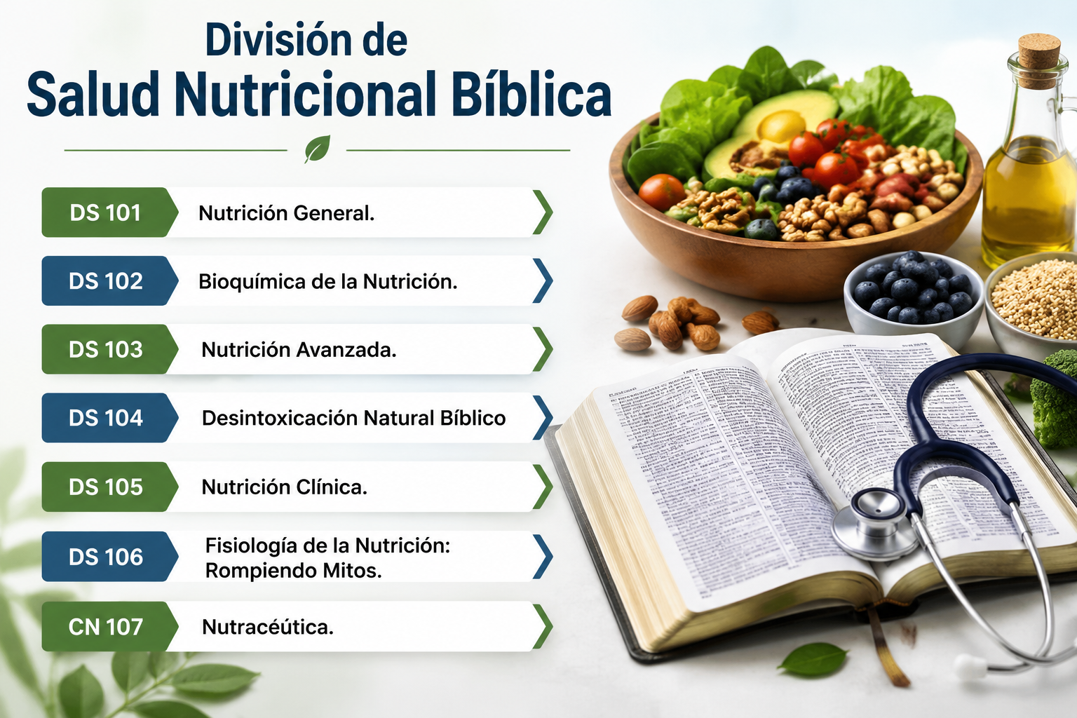 Division Nutricion